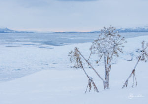 20170106_115849_Winter