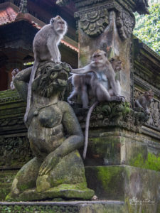 20170522_125824_Ubud-Monkey-Forest