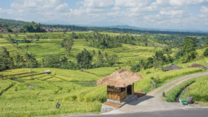 20170523_135056_Jatiluwih-Rice-Terraces